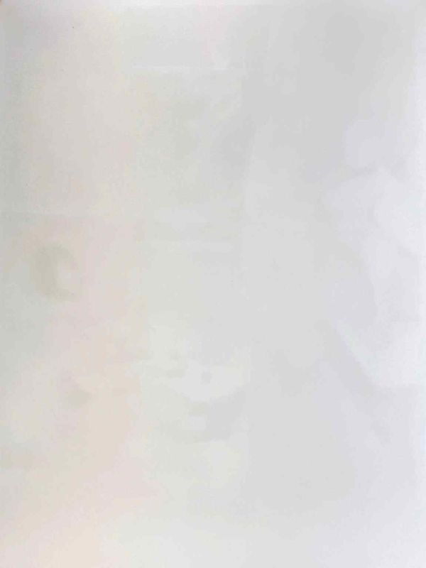Ödipus und die Sphinx (Farblithographie) — Francis BACON — Rückansicht