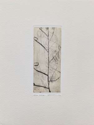 TOT #1 (Etching) - Seiko TACHIBANA