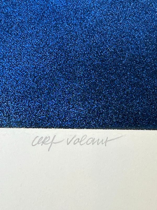 Cerf-volant (Aquatinte et carborundum) - Bertrand DORNY