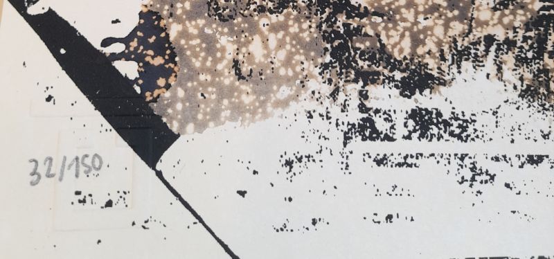 Vhils (1987) / Bleach (Sérigraphie) -  VHILS