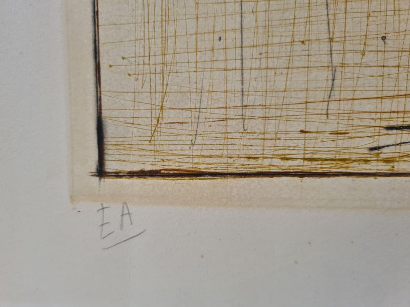 Brown bug (Engraving) - Bernard BUFFET