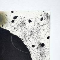 Strindberg Mappen (Farblithographie) — Joan MIRO — Detail der Signatur