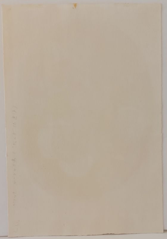 Oiseaux - Études pour la plafond du Louvre (Lithographie) - Georges BRAQUE