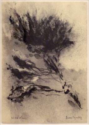Tree (Charcoal) - Jean-Jacques  DOURNON