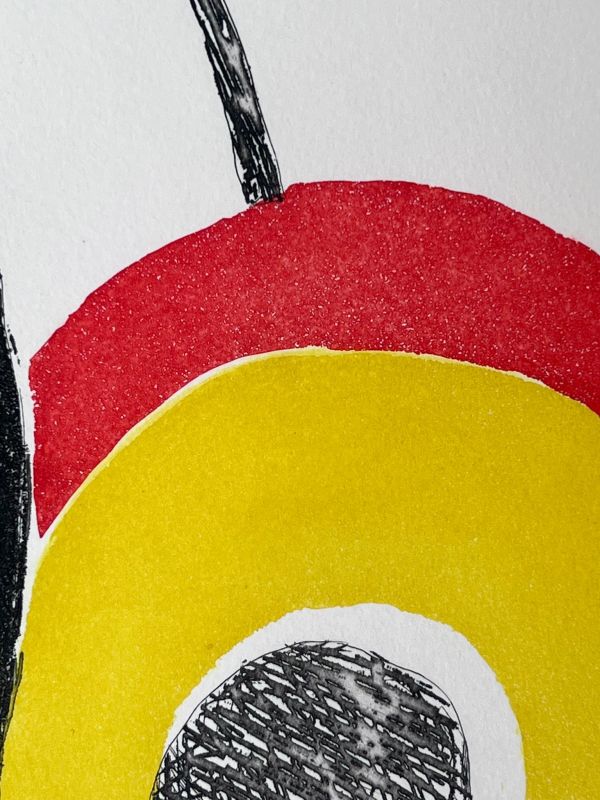 Les illuminations de Rimbaud (Radierung und Aquatinta) - Sonia DELAUNAY