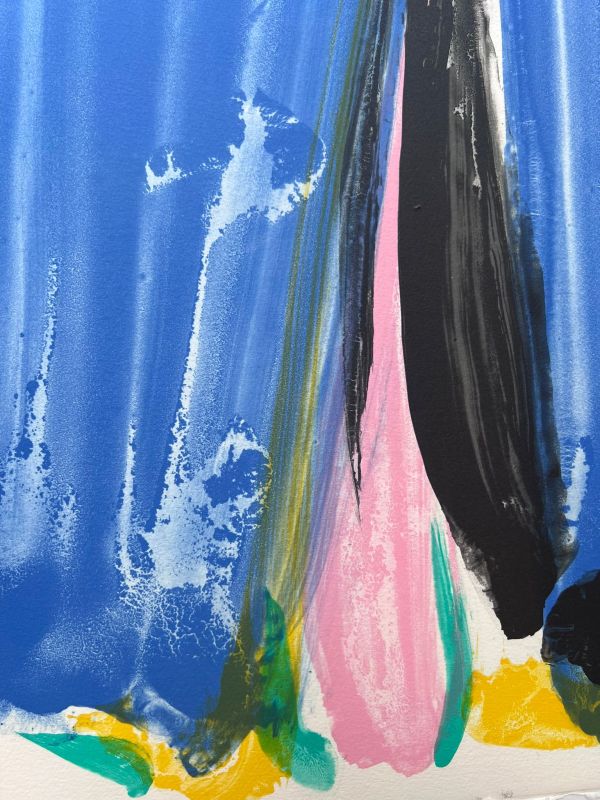 Signe-Paysage Loire (Lithographie) - Olivier DEBRE