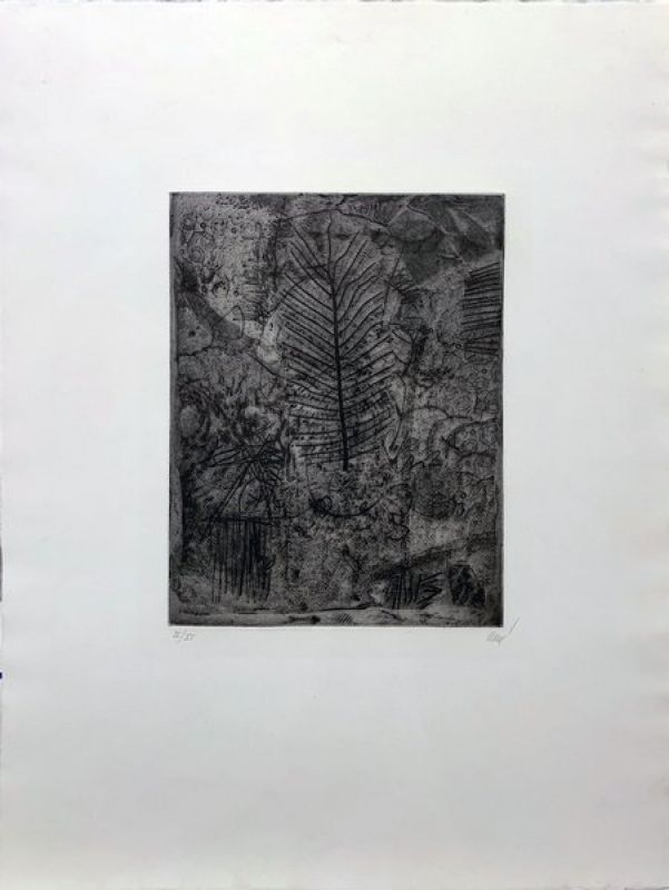 Leaf (Engraving) - Antoni CLAVE