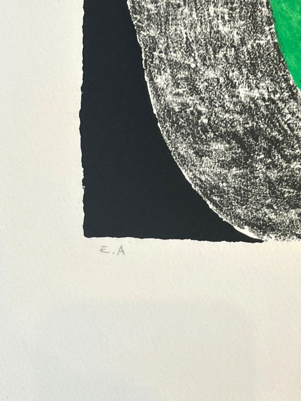 Damiers verts (Lithographie) - Sonia DELAUNAY