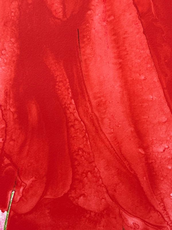 The Red Curtain (Satie) (Lithograph) - Olivier DEBRE