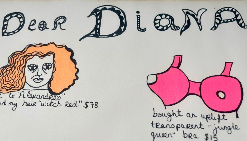 Dear Diana (Siebdruck) - Niki DE SAINT PHALLE