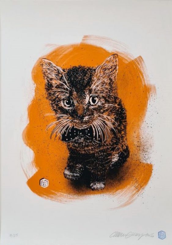 C215 (Christian Guémy) (1973) / Charly caramel orange (Sérigraphie) -  STREET ART