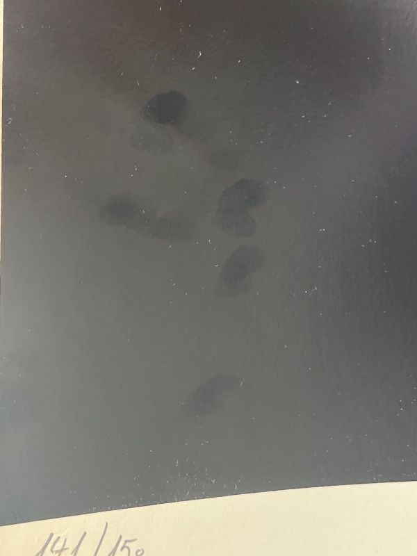 Jean Baier (1932-1999) // Untitled (Silkscreen) -  Artistes Divers