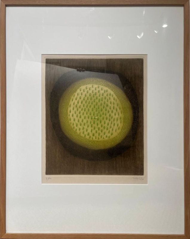 B&eacute;ryl (Stich) - Arthur Luiz  PIZA