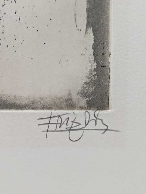 Pflanzenreich (Radierung und Aquatinta) - Johnny FRIEDLAENDER