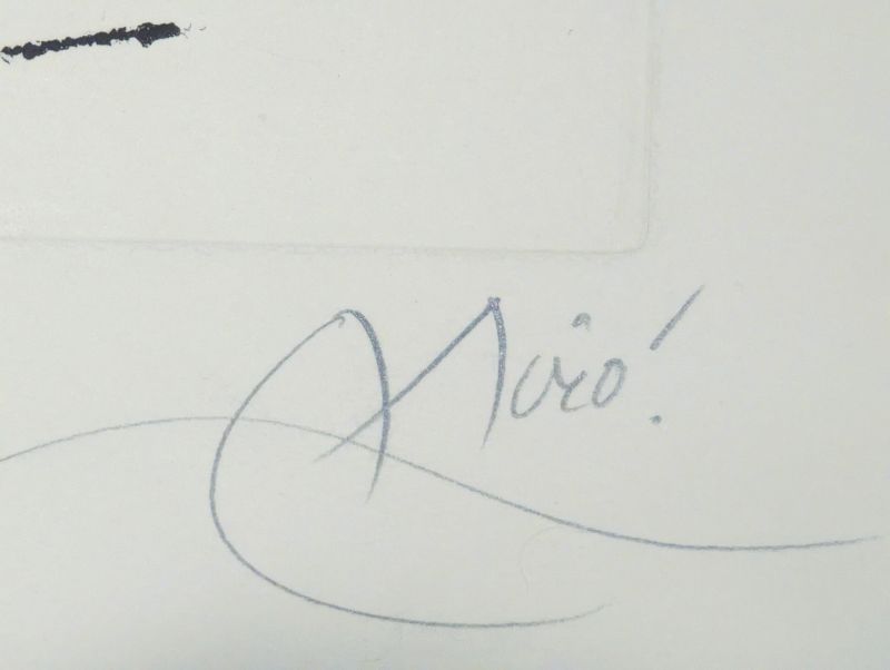 El Sobreviviente visita los P&aacute;jaros (Etching and aquatint) - Joan  MIRO