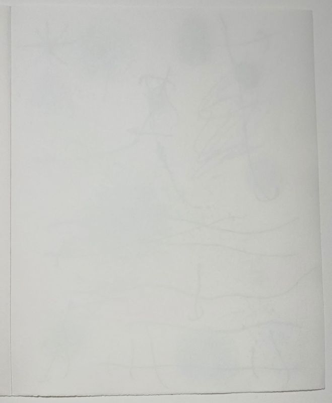 Quelques fleurs pour des amis (Litografía) - Joan  MIRO