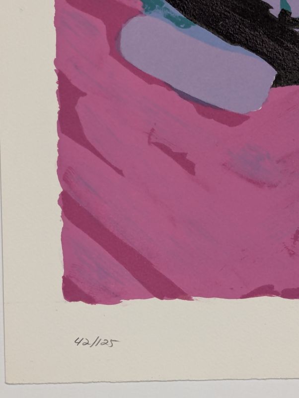 About a Cat (Lithographie) - Karel APPEL