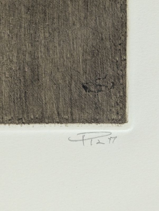 Calc&eacute;doine (Gravure) - Arthur Luiz  PIZA