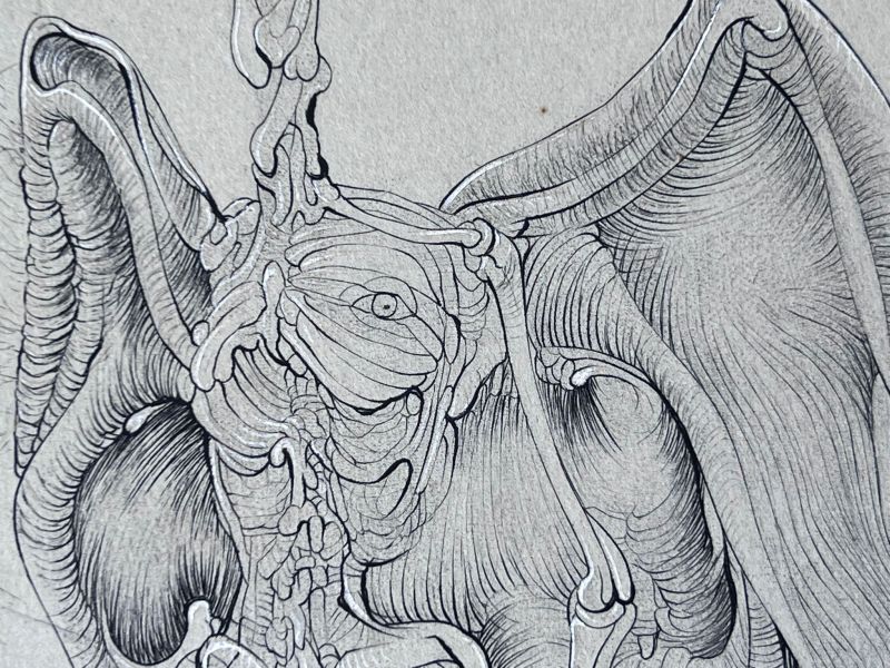 La chauve souris (Gravure) - Hans BELLMER