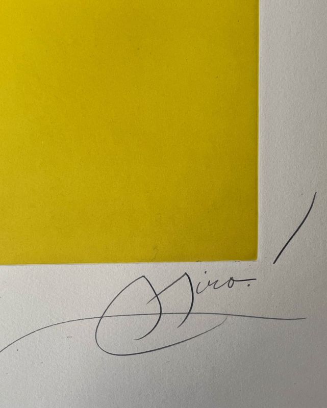 Llibre dels sis sentits (Books of th six senses) (Radierung und Aquatinta) - Joan  MIRO