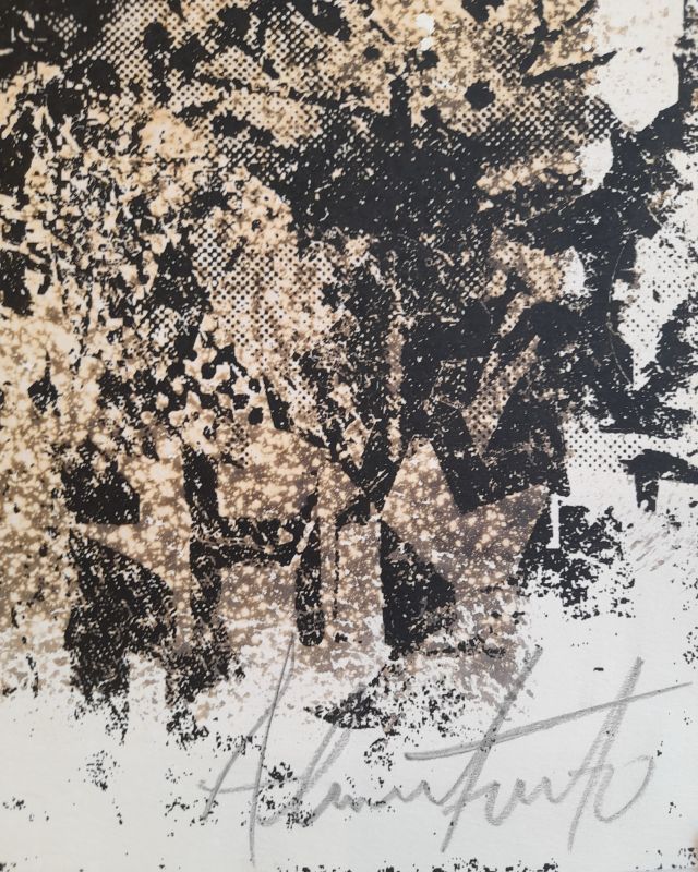 Vhils (1987) / Bleach (Sérigraphie) -  VHILS