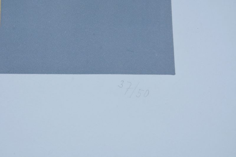 Formas simétricas con copos aleatorios (Litografía) - Hans ARP