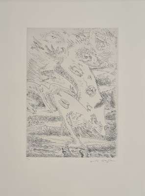 Metamorphosis on the summit (Etching) - André  MASSON