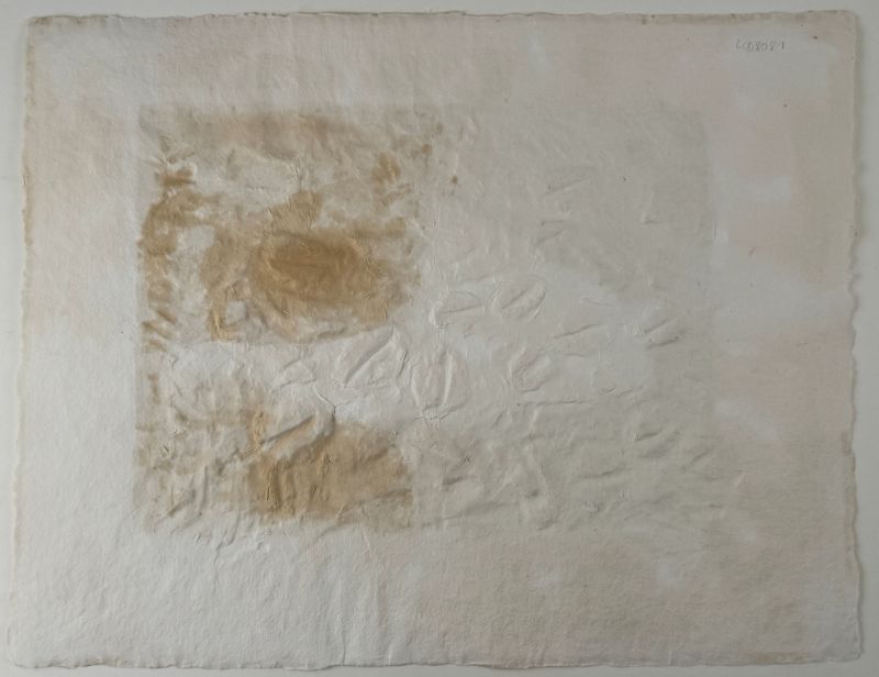 El pato (Litografía) - Georges BRAQUE
