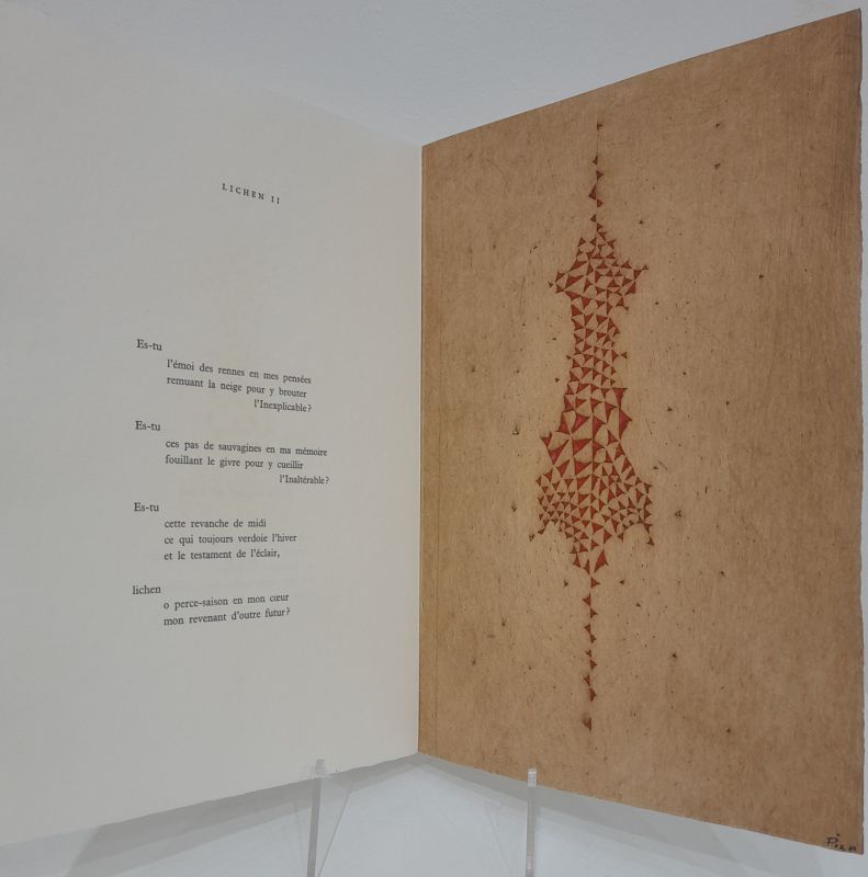 Lichens (Illustrated Book) - Arthur Luiz  PIZA