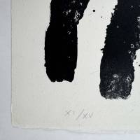 Album 19 - Plate I (Lithograph) — Joan MIRO — Edition numbering detail