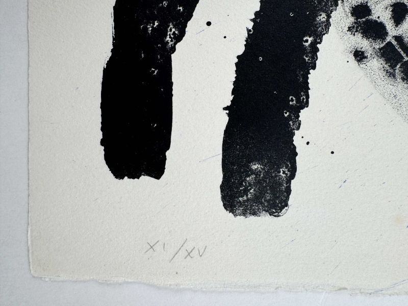 Album 19 - Plate I (Lithograph) — Joan MIRO — Edition numbering detail