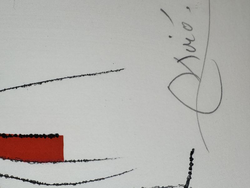 La Spirale (Radierung und Aquatinta) - Joan  MIRO