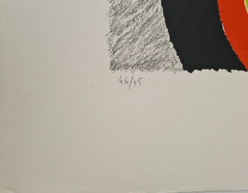 Die drei Grazien (Farblithographie) - Sonia DELAUNAY