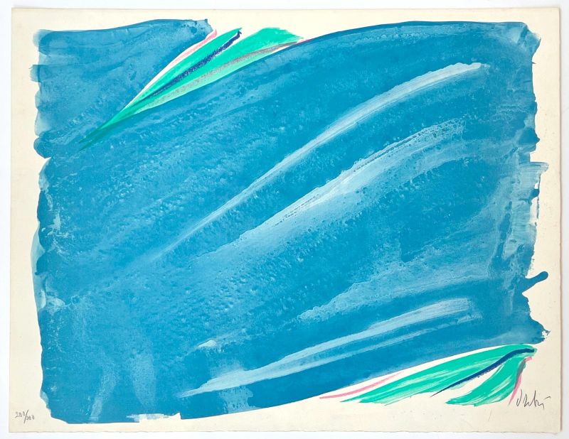 Signe-Paysage (Lithographie) - Olivier DEBRE