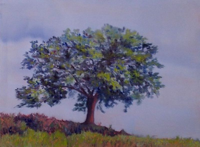 Baum I (Öl auf Kupfer ) - Sara FRATINI