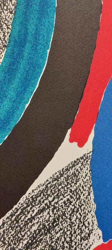 Vol de nuit (Lithographie) - Sonia DELAUNAY