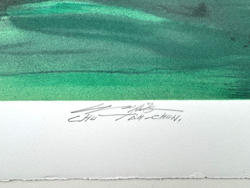 Strahlende Eleganz (Farblithographie) - Teh-Chun CHU