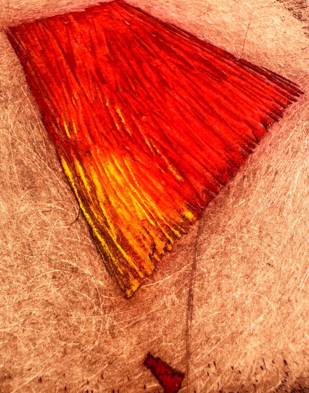 Sans titre (Gravure) - Arthur Luiz  PIZA