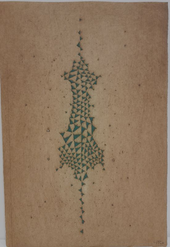 Lichens (Illustrated Book) - Arthur Luiz  PIZA