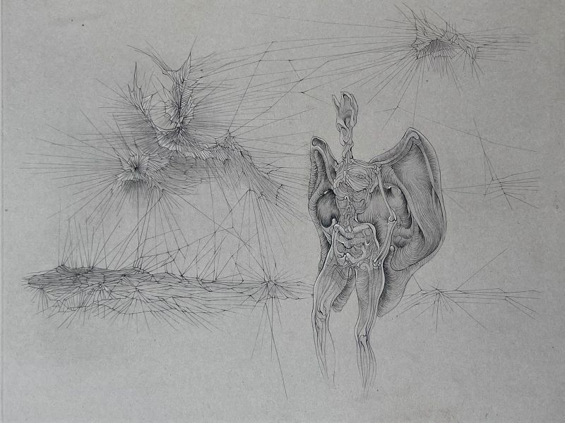 La chauve souris (Gravure) - Hans BELLMER