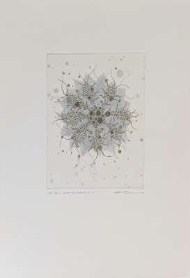 Fern - Butterfly effect a-3 (Gravure) - Seiko TACHIBANA