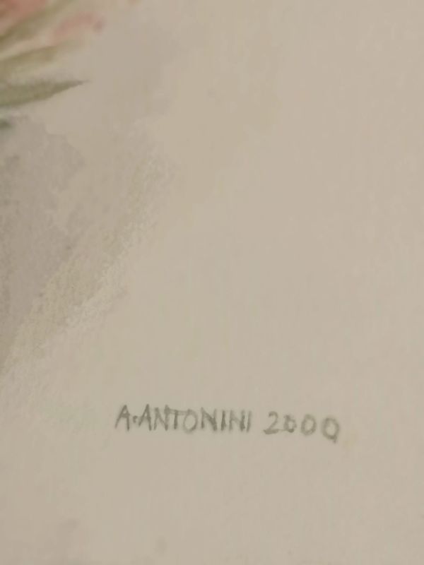 Umbelliferen und Gräser (Aquarell (zeitgenössisch)) - Annapia ANTONINI