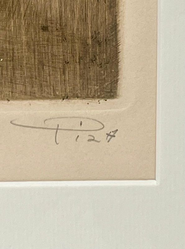 B&eacute;ryl (Stich) - Arthur Luiz  PIZA