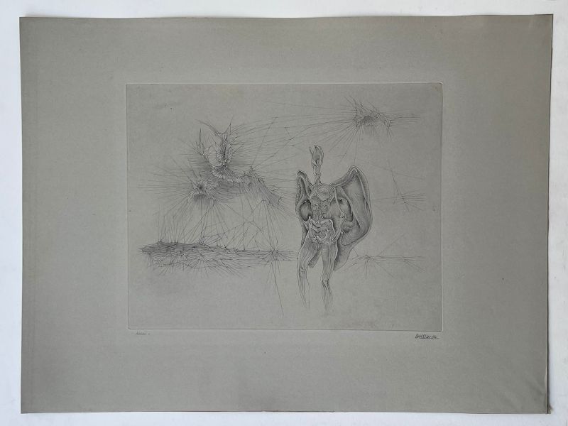 La chauve souris (Gravure) - Hans BELLMER