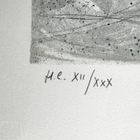Roger Chapelain-Midy (1904-1992) // Nu aux singes (Lithograph) — Artistes Divers — Edition numbering detail