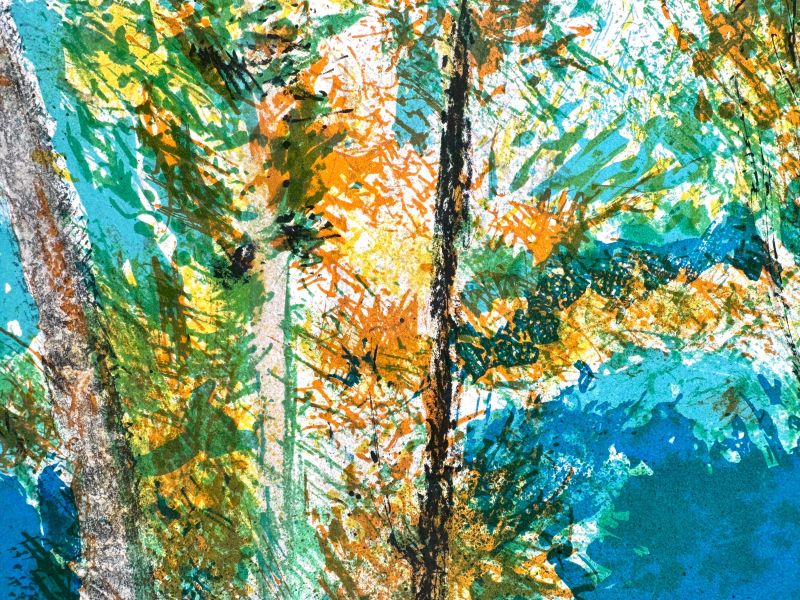 Guy Bardone (1927-2015) // Rivière aux grands arbres (Lithograph) — Artistes Divers — Detail view