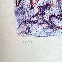 Surprises du Hasard (Lithograph) — Max ERNST — Edition numbering detail