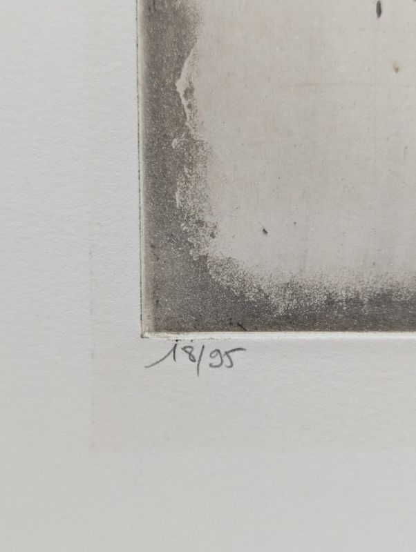 Pflanzenreich (Radierung und Aquatinta) - Johnny FRIEDLAENDER