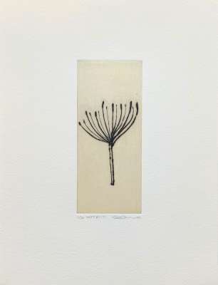 TOT #117 (Etching) - Seiko TACHIBANA
