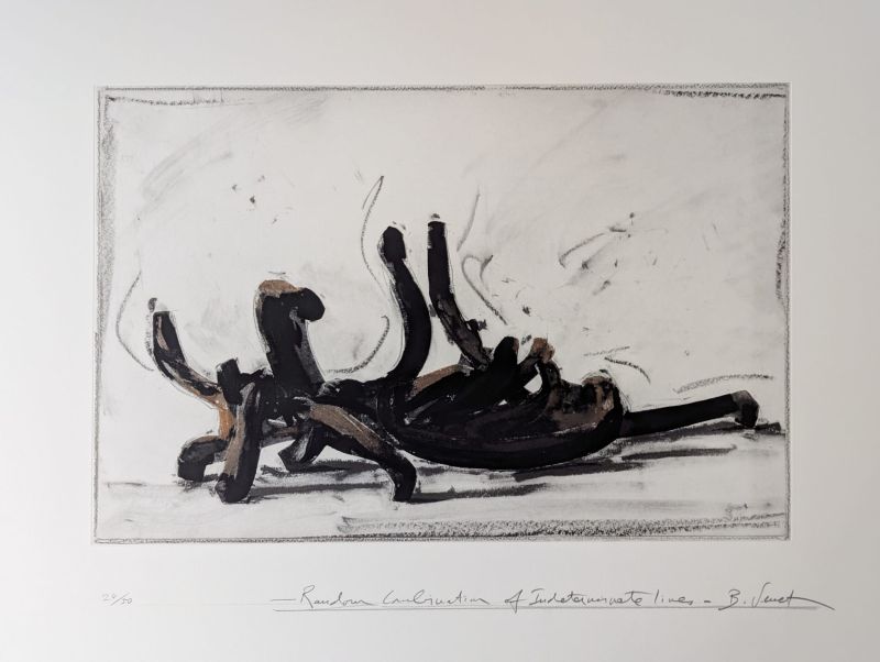 Random Combination of Indeterminate Lines IV (Grabado) - Bernar VENET